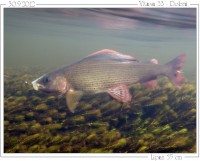 /album/fotogalerie-fotogalerie/p1012938-jpg/