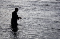 /album/fotogalerie-fotogalerie/p9291074-jpg/